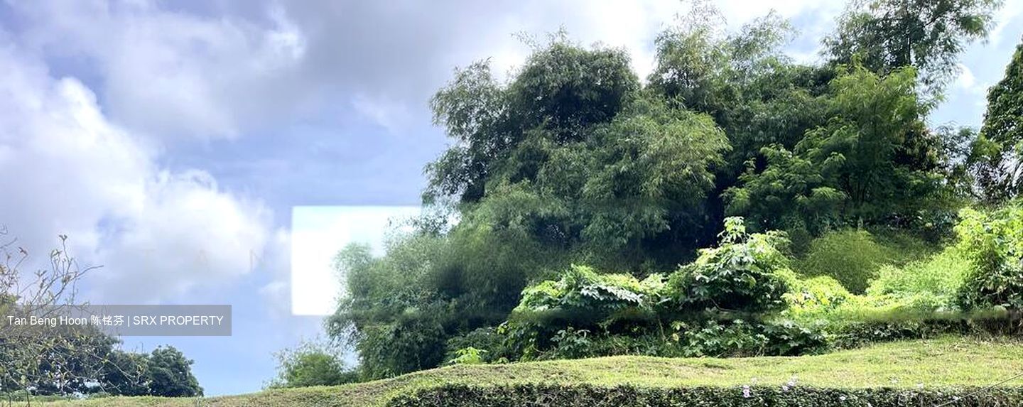 Clementi Green (D21), Semi-Detached #502424521